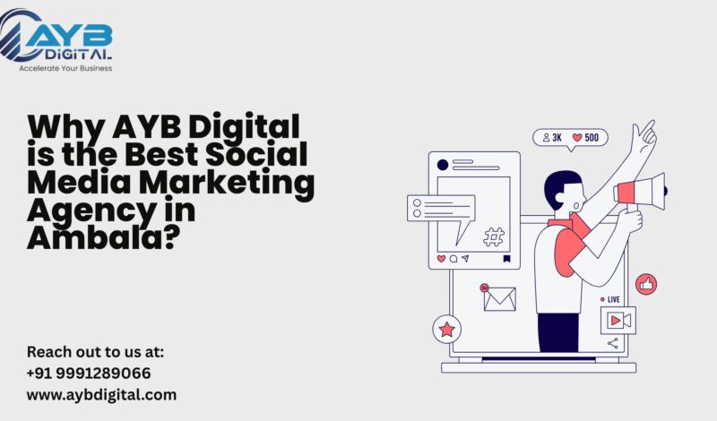 Social Media Marketing Agency in Ambala